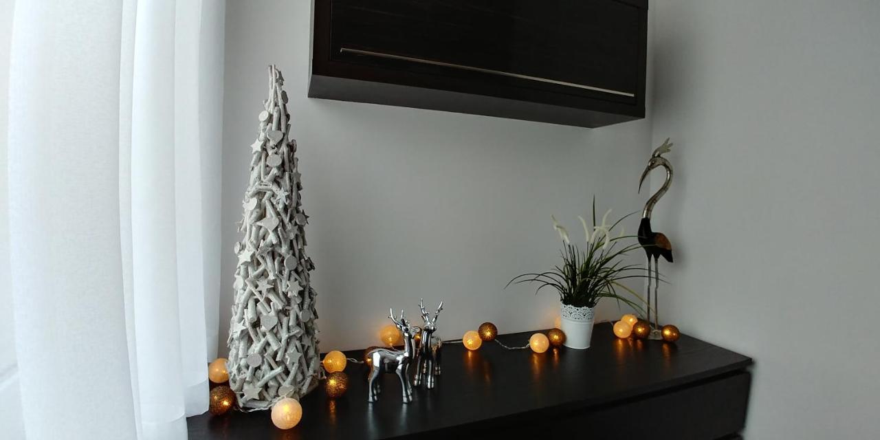 Apartament Wyspa, 2 Pokoje, Parking Gratis ミエンジボジェ エクステリア 写真
